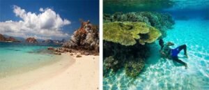 Destinasi Favorit Untuk Diving Dan Snorkeling Di Nusa Tenggara Timur 