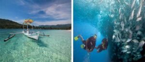 Destinasi Favorit Untuk Diving Dan Snorkeling Di Nusa Tenggara Timur 