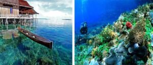 Destinasi Favorit Untuk Diving Dan Snorkeling Di Nusa Tenggara Timur 