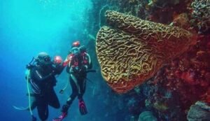 KEINDAHAN TAMAN LAUT OLELE BAGAIKAN SURGA